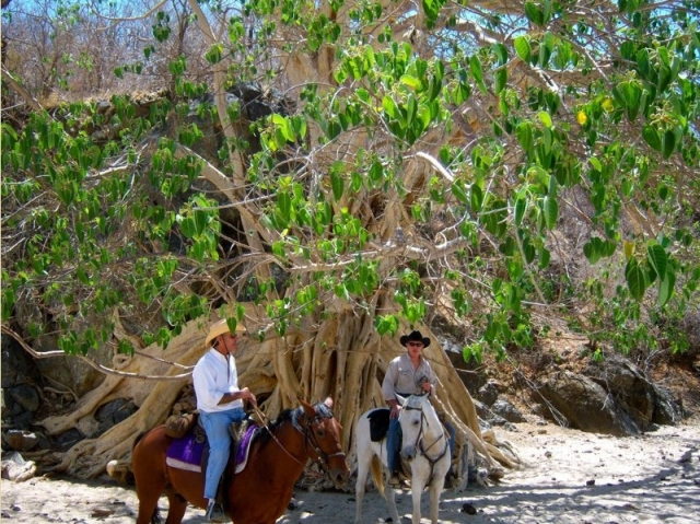 Descansando bajo la sombra 